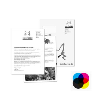 C4 Mailing, mit einem Blatt A4, eine Seite 4/4 farbig bedruckt